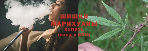 молекула духа Дмитров