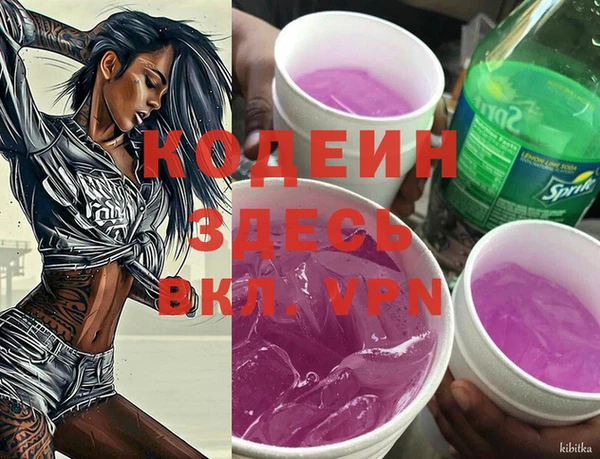 молекула духа Дмитров