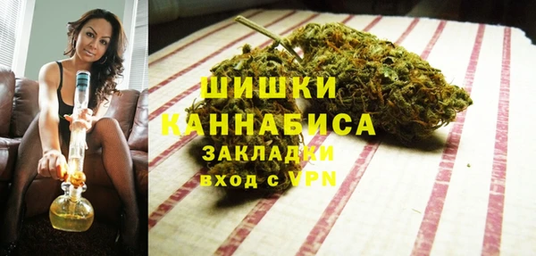 молекула духа Дмитров