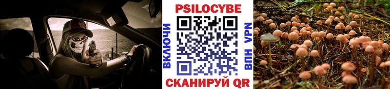Купить закладки  Морозовск  Галлюциногенные грибы GOLDEN TEACHER 